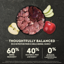 Dry Dog Food - Singles - Limited Ingredient Diet - Lamb with Apple Recipe