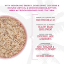 幼猫罐头 - Baby - 鸡肉三文鱼配方