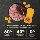 Dry Dog Food - Singles - Limited Ingredient Diet - Pork with Squash Recipe