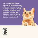 猫罐头零食 - 鱼肉什锦汤汁系列 - 2.47盎司12罐装