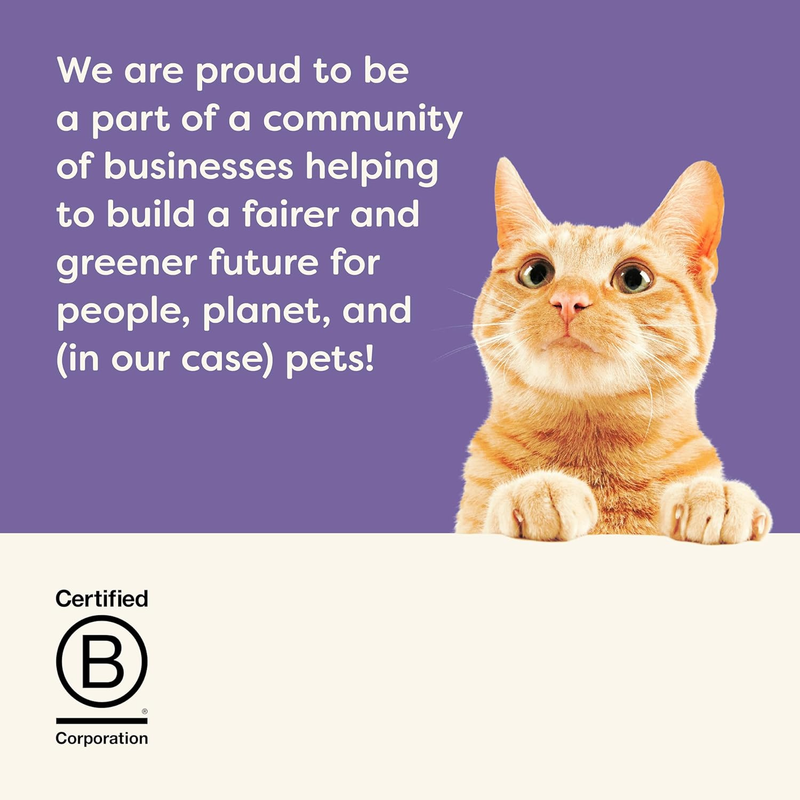 猫罐头零食 - 鱼肉什锦汤汁系列 - 2.47盎司12罐装