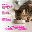 犬用熟食 - Kippy - 带肚肉肠 - 800克