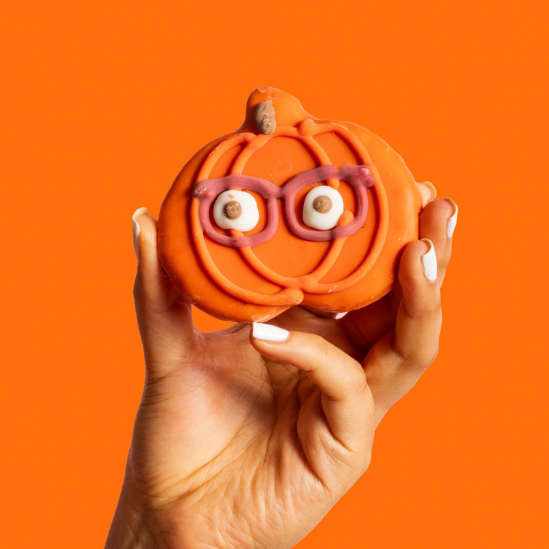 装饰狗狗饼干 - 南瓜眼镜款 | 秋季限定 - 散装1片装