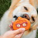 装饰狗狗饼干 - 南瓜眼镜款 | 秋季限定 - 散装1片装