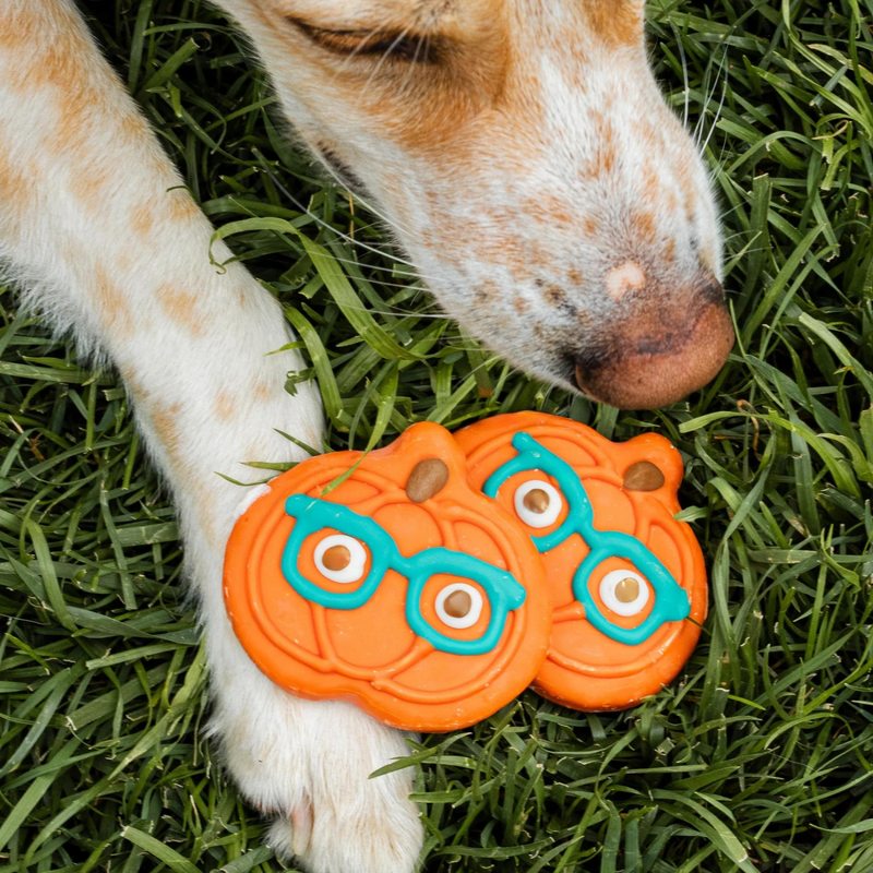 装饰狗狗饼干 - 南瓜眼镜款 | 秋季限定 - 散装1片装