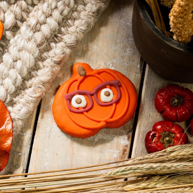 装饰狗狗饼干 - 南瓜眼镜款 | 秋季限定 - 散装1片装