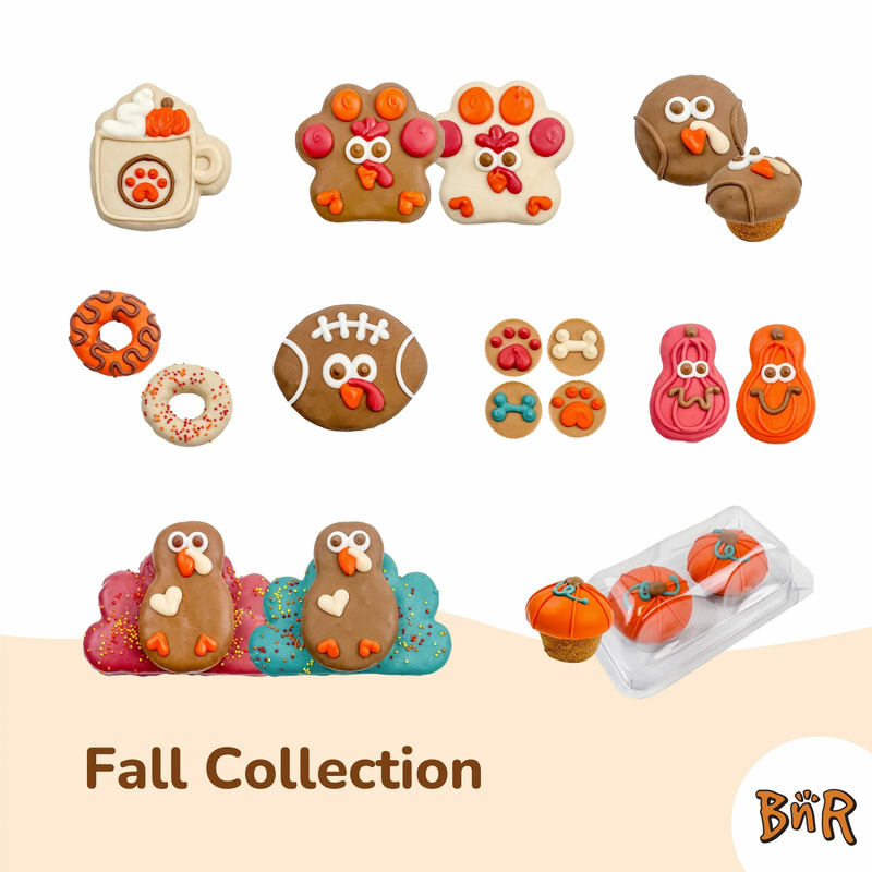 装饰狗狗饼干 - 南瓜眼镜款 | 秋季限定 - 散装1片装