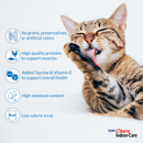 Creamy Cat Treat - CHURU Indoor Care - Chicken Recipe