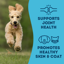 Dog & Cat Treat - With Love And Fishes - Premium Dehydrated Sardines