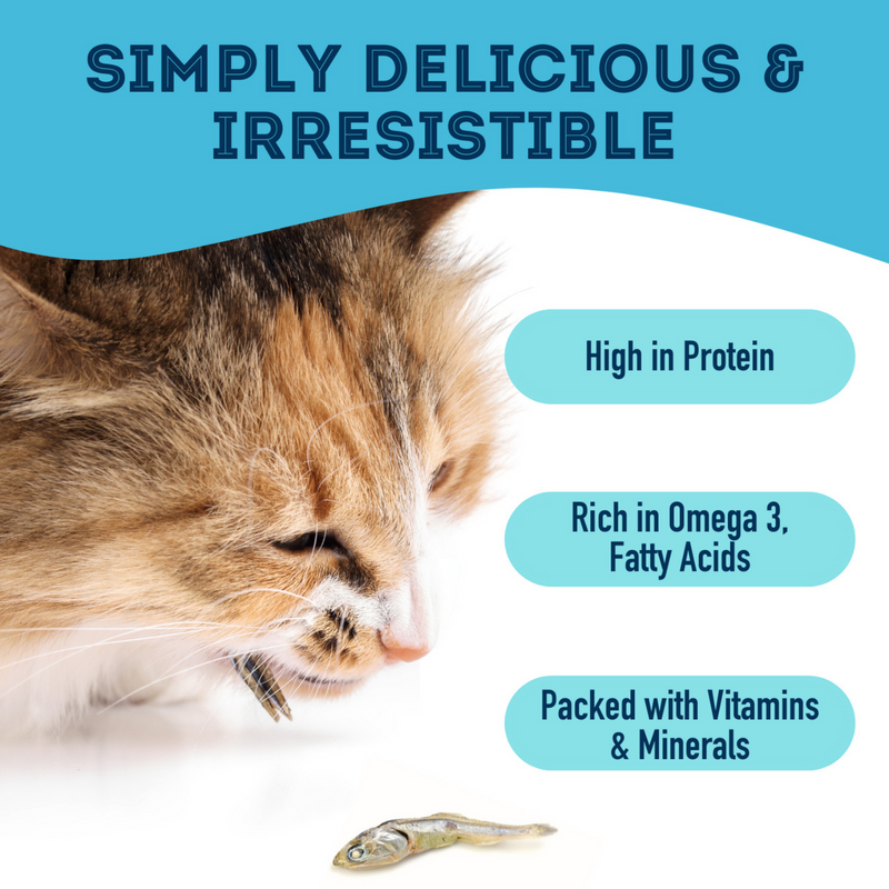 Dog & Cat Treat - With Love And Fishes - Premium Dehydrated Sardines