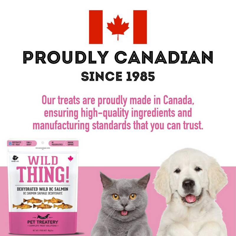 Dog & Cat Treat - Wild Thing - Premium Dehydrated Wild Salmon