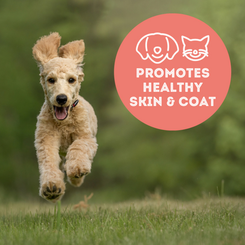 Dog & Cat Treat - Best Treat in the Tunaverse - Premium Freeze Dried Tuna Flakes