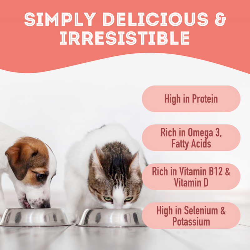 Dog & Cat Treat - Best Treat in the Tunaverse - Premium Freeze Dried Tuna Flakes