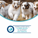 Canned Dog Food Supplement - Nutritionals - Digestive Pâté - 13 oz