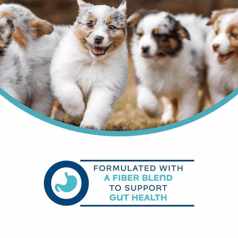 Canned Dog Food Supplement - Nutritionals - Digestive Pâté - 13 oz