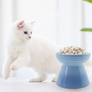 Freeze Dried Cat Treat - Chicken