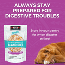 Cooked Dog Food - LID Bland Diet - Beef & White Rice Recipe with Pumpkin - Adult - 12.5 oz pouch