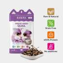 Freeze Dried Cat Treat - Whole Quail