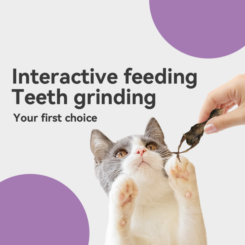 Freeze Dried Cat Treat - Whole Quail