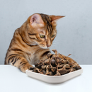 Freeze Dried Cat Treat - Whole Quail