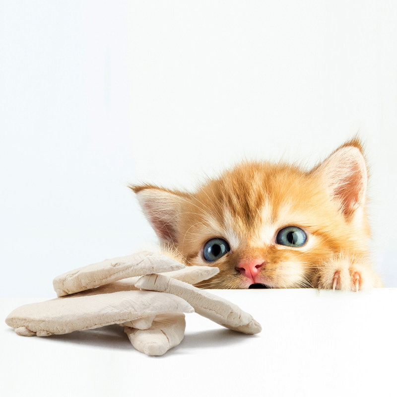 Cat Treat - Soft & Chewy - Moooo Moooo - Beef & Cheddar Recette - 2 oz