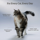 Dry Cat Food - Good Gravy - Chicken Kibble Coated in Bone Broth - Adult