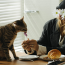 Cat Treat - Soft & Mery - Sushi Sushi - Saumon et recette d'algues - 2 oz