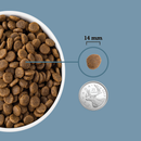Nourriture pour chiens séchés à l'air - agneau et saumon - 1 kg