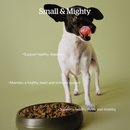Dry Dog Food - Grain Free Turkey, Salmon & Duck - Senior Small Breed