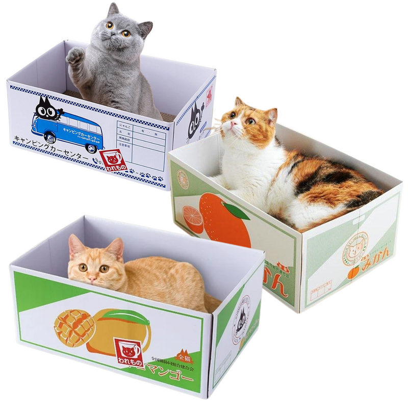 Cat Scratching Box