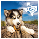 Puppy Teething Rings - Taste of Texas Chicken Fajitas Flavor