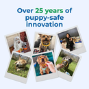 Puppy Teething Rings - Taste of Texas Chicken Fajitas Flavor