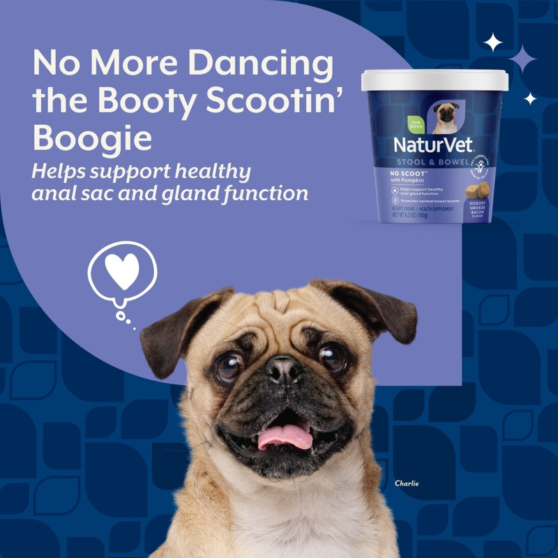 Dog Supplement - No Scoot Soft Chews