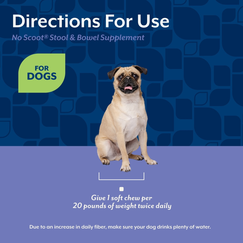 Dog Supplement - No Scoot Soft Chews