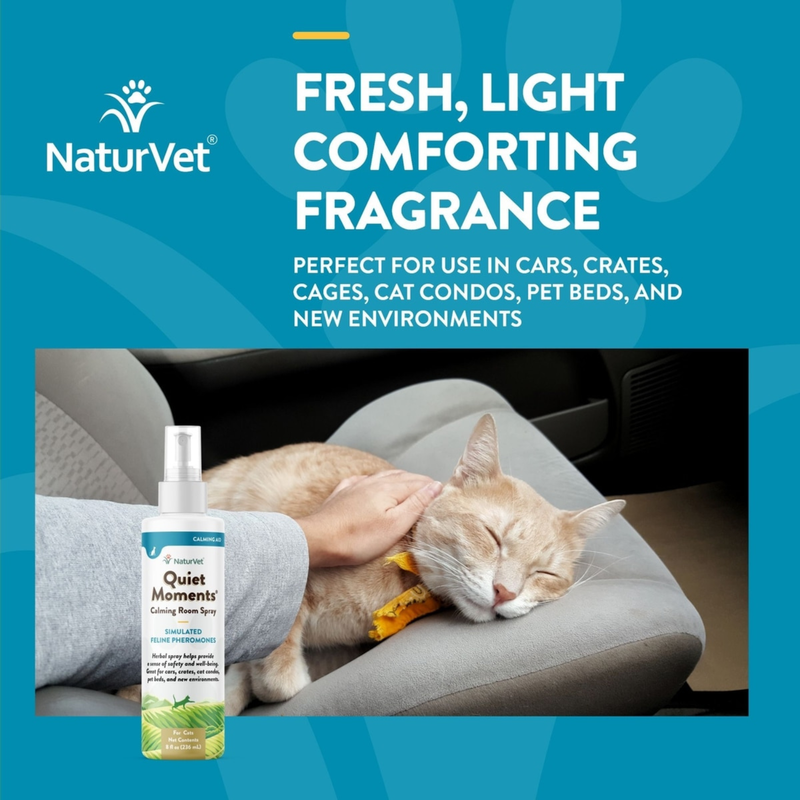 Quiet Moments - Cat Calming Room Spray