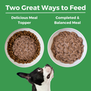 Canned Dog Food - Limited Ingredient Diet - Turkey Entrée with Pumpkin - Adult