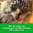 Cat Treat - FELINE GREENIES - FELINE PILL POCKETS - Chicken Flavor