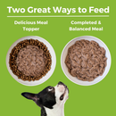 Canned Dog Food - Limited Ingredient Diet - Duck Entrée with Pear - Adult