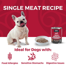 Canned Dog Food - Limited Ingredient Diet - Beef Entrée with Pumpkin - Adult