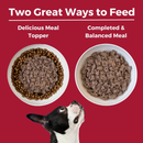 Canned Dog Food - Limited Ingredient Diet - Beef Entrée with Pumpkin - Adult