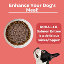 Canned Dog Food Topper - Limited Ingredient Diet - Salmon Entrée with Pumpkin