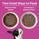 Canned Dog Food - Limited Ingredient Diet - Pork Entrée in Gravy with Squash - Adult