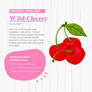 2合1猫咪护发洗发水，浅野樱桃-16盎司