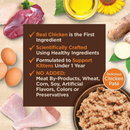 Nourriture pour chats humides - Core Tiny Tasters - Kitten Pate - Recette de poulet - 1,75 oz Pouche