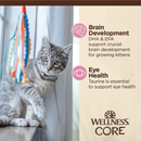 Nourriture pour chats humides - Core Tiny Tasters - Kitten Pate - Recette de poulet - 1,75 oz Pouche