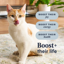 Alimentation sèche pour chats - Boost cru - Receau de poulet réel