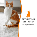 OXY Formula, Set-In Stain Destroyer for Cats, 709 ml spray