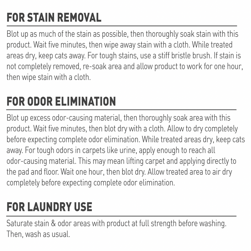 OXY Formula, Set-In Stain Destroyer for Dogs, 946 ml spray