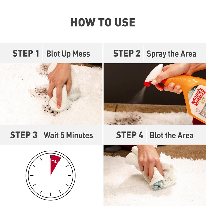 OXY Formula, Set-In Stain Destroyer for Dogs, 946 ml spray