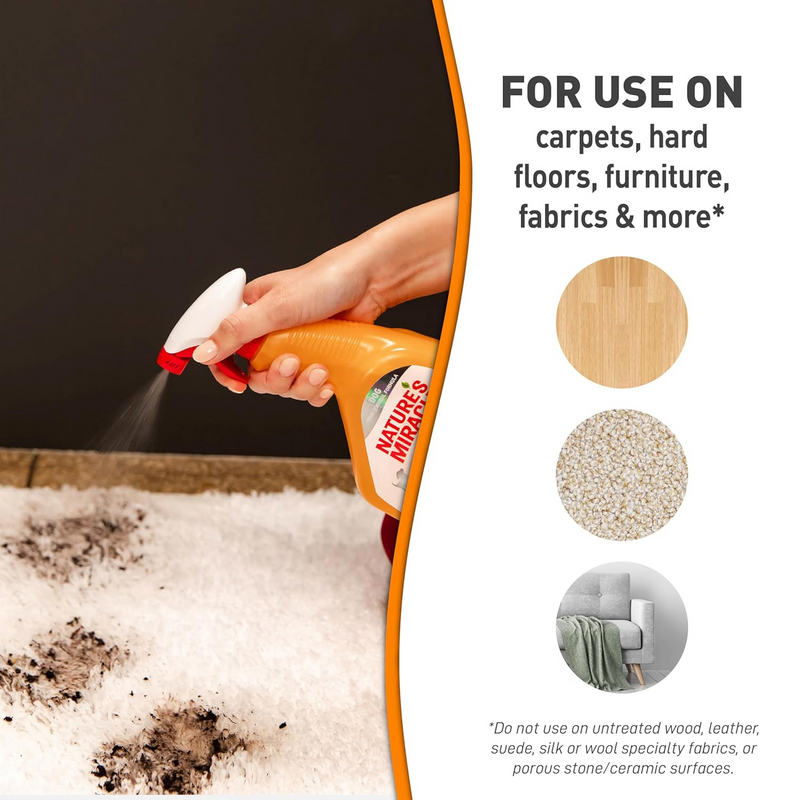 OXY Formula, Set-In Stain Destroyer for Dogs, 946 ml spray